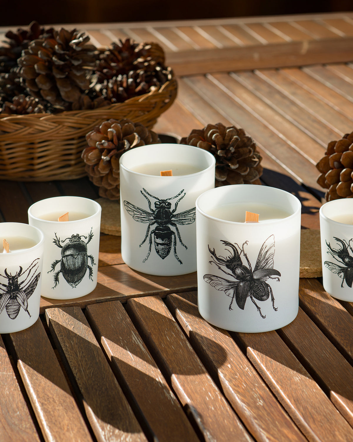 Candle in Jar INSECT Wood Wick 7oz Lucanus Cervus