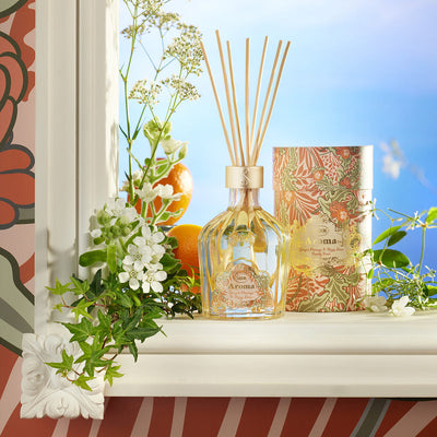 Aroma Reed Diffuser Ginger Orange & Fizzy Lime 250ml