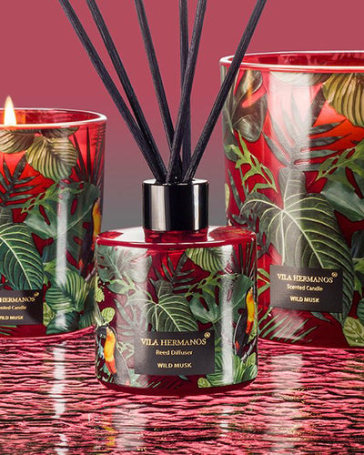 Diffuser Mikado Reed JUNGLETOPIA 3.3oz Wild Musk