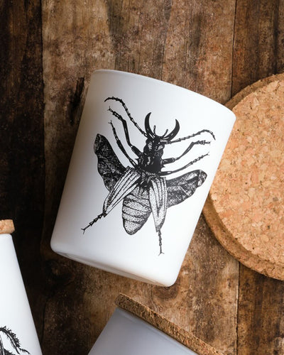 Candle in Jar INSECT Wood Wick 3oz Lucanus Cervus