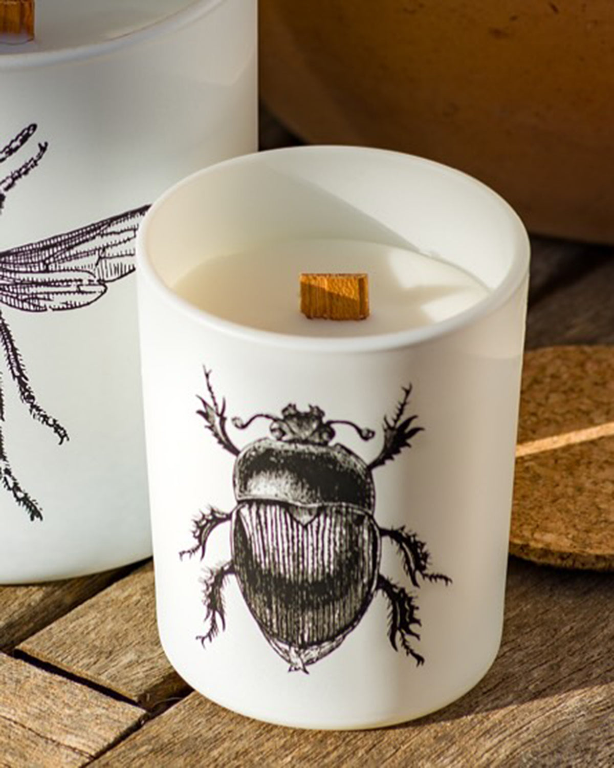 Candle in Jar INSECT 190gr SCARABEUS SACER 3.35 diam. x 4.13 in