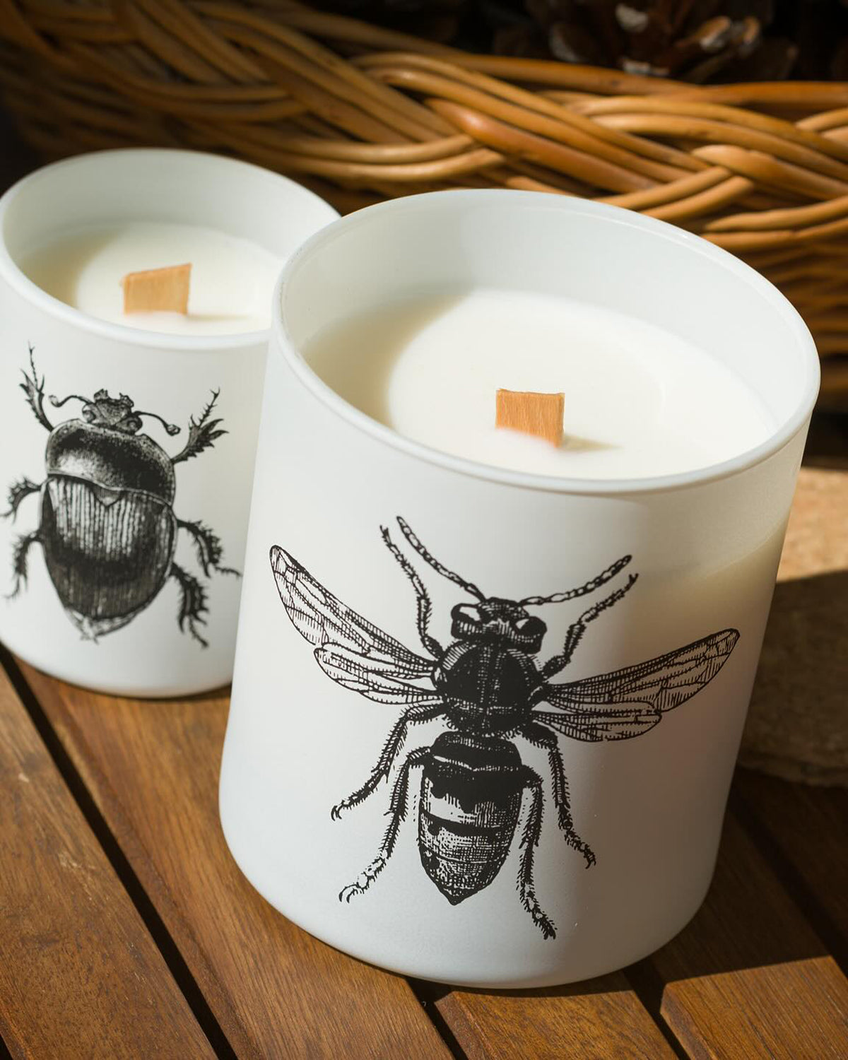 Candle in Jar INSECT Wood Wick 7oz Calabrone