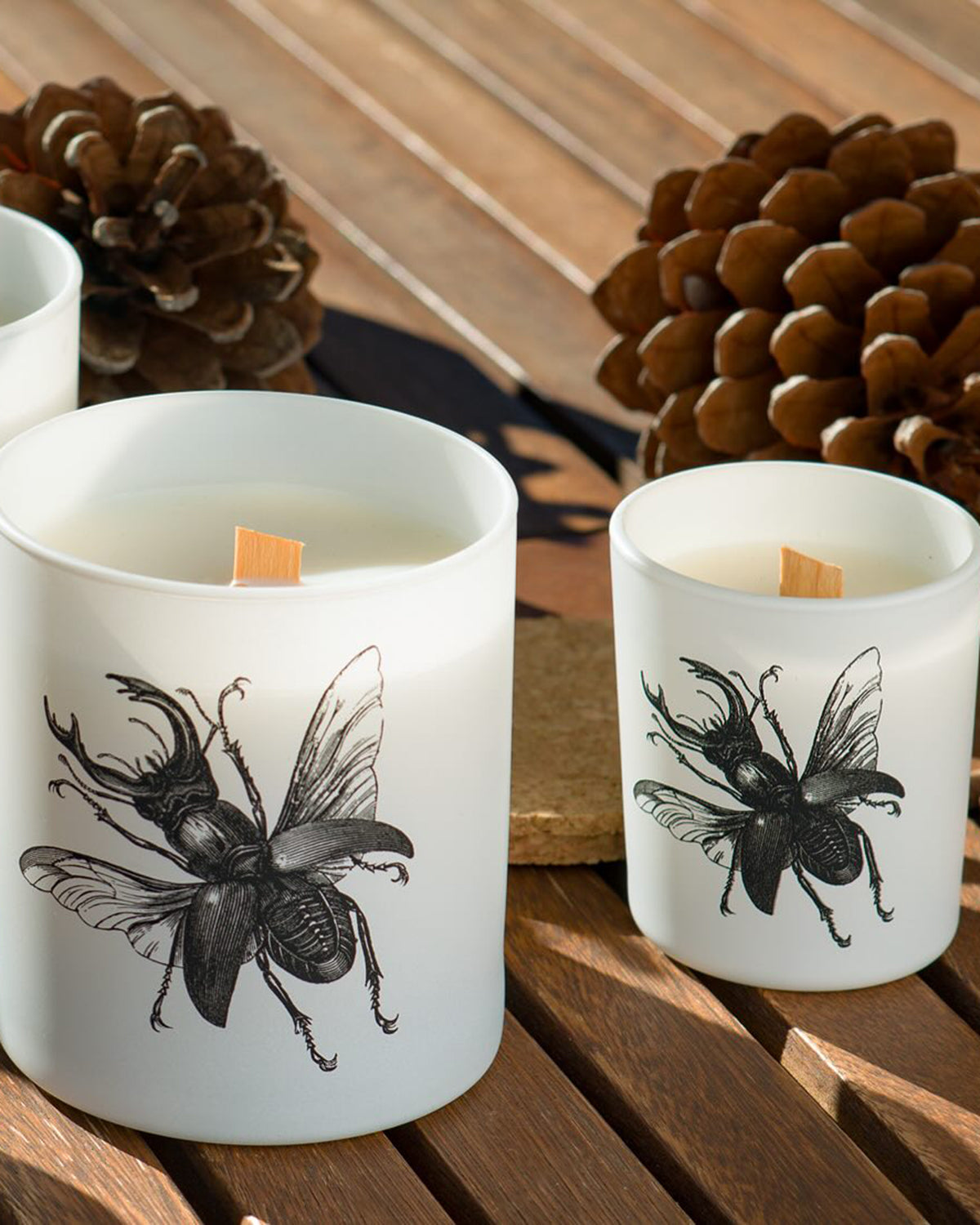 Candle in Jar INSECT Wood Wick 3oz Scarabeus Sacer