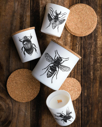 Candle in Jar INSECT Wood Wick 7oz Lucanus Cervus