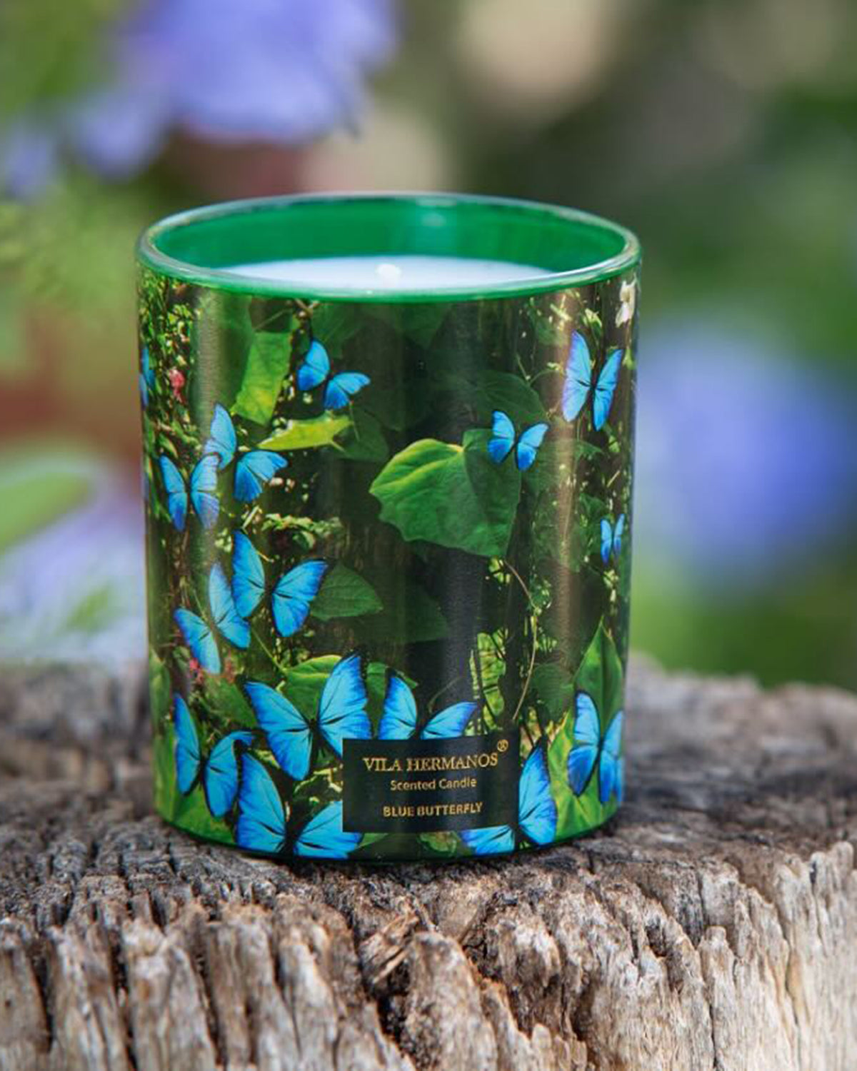 Candle in Jar JUNGLETOPIA 23oz Blue Butterfly