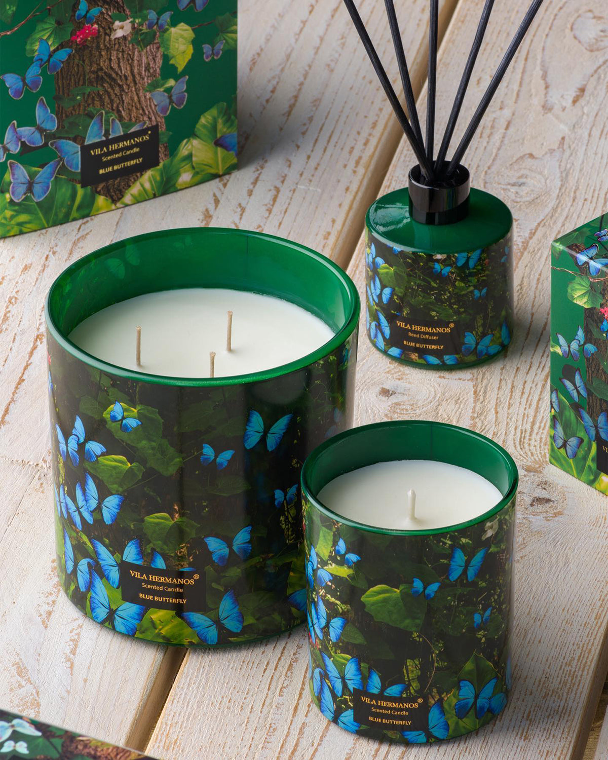 Candle in Jar JUNGLETOPIA 7oz Blue Butterfly