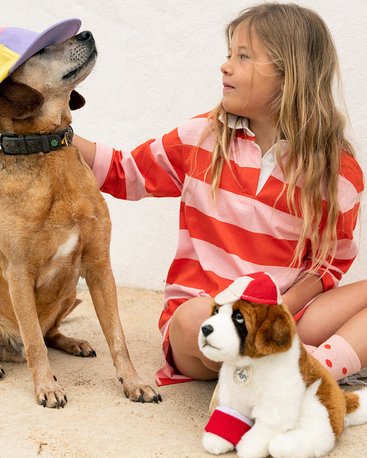 Bon Ton Toys Plush BT CHAPS Herman The St Bernard 12.5