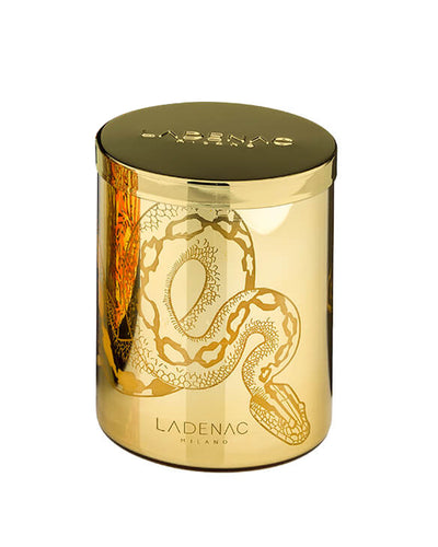 Candle in Jar AFRICA SNAKE 350gr