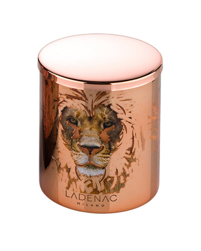 Candle in Jar AFRICA LION 350gr