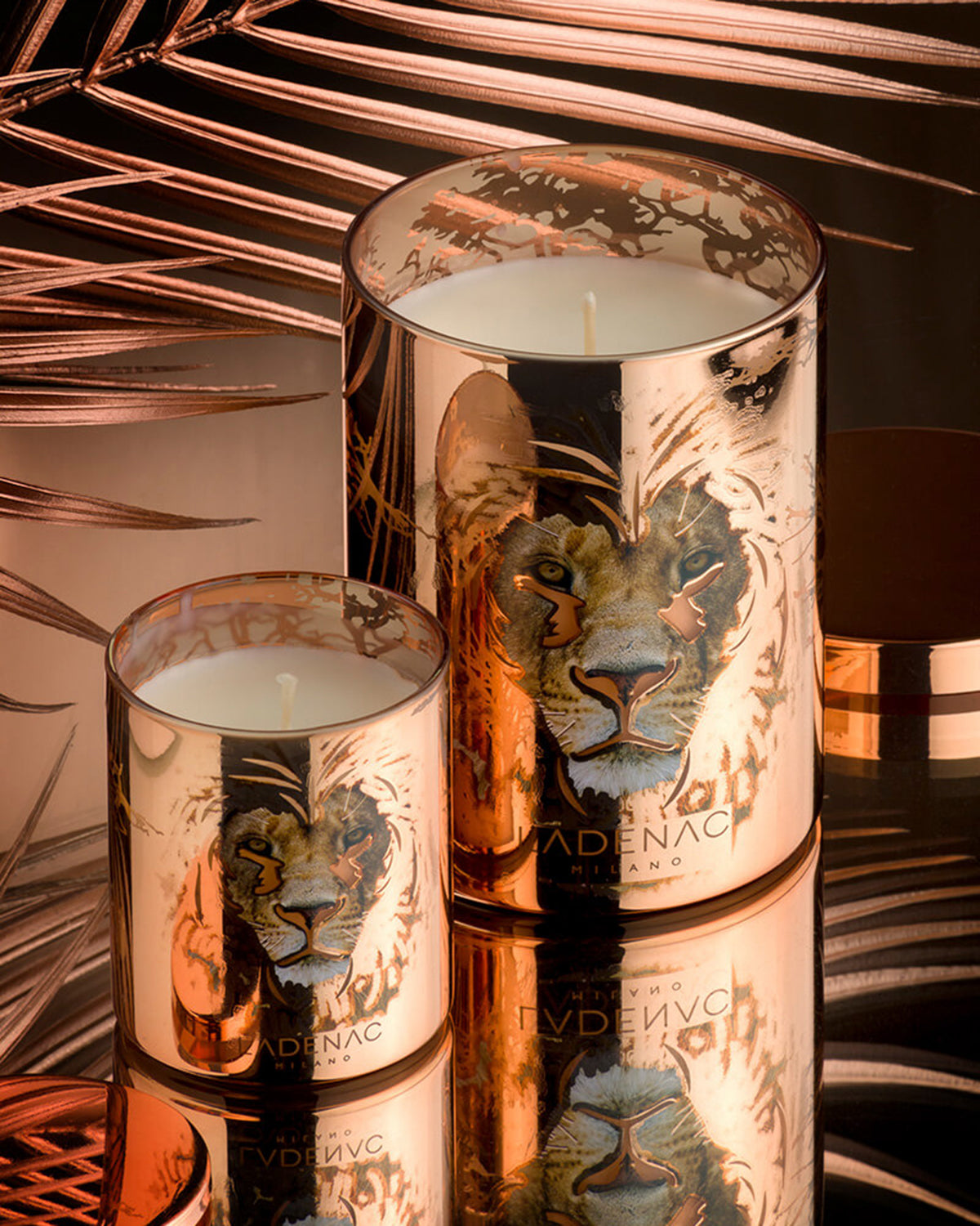 Candle in Jar AFRICA LION 350gr