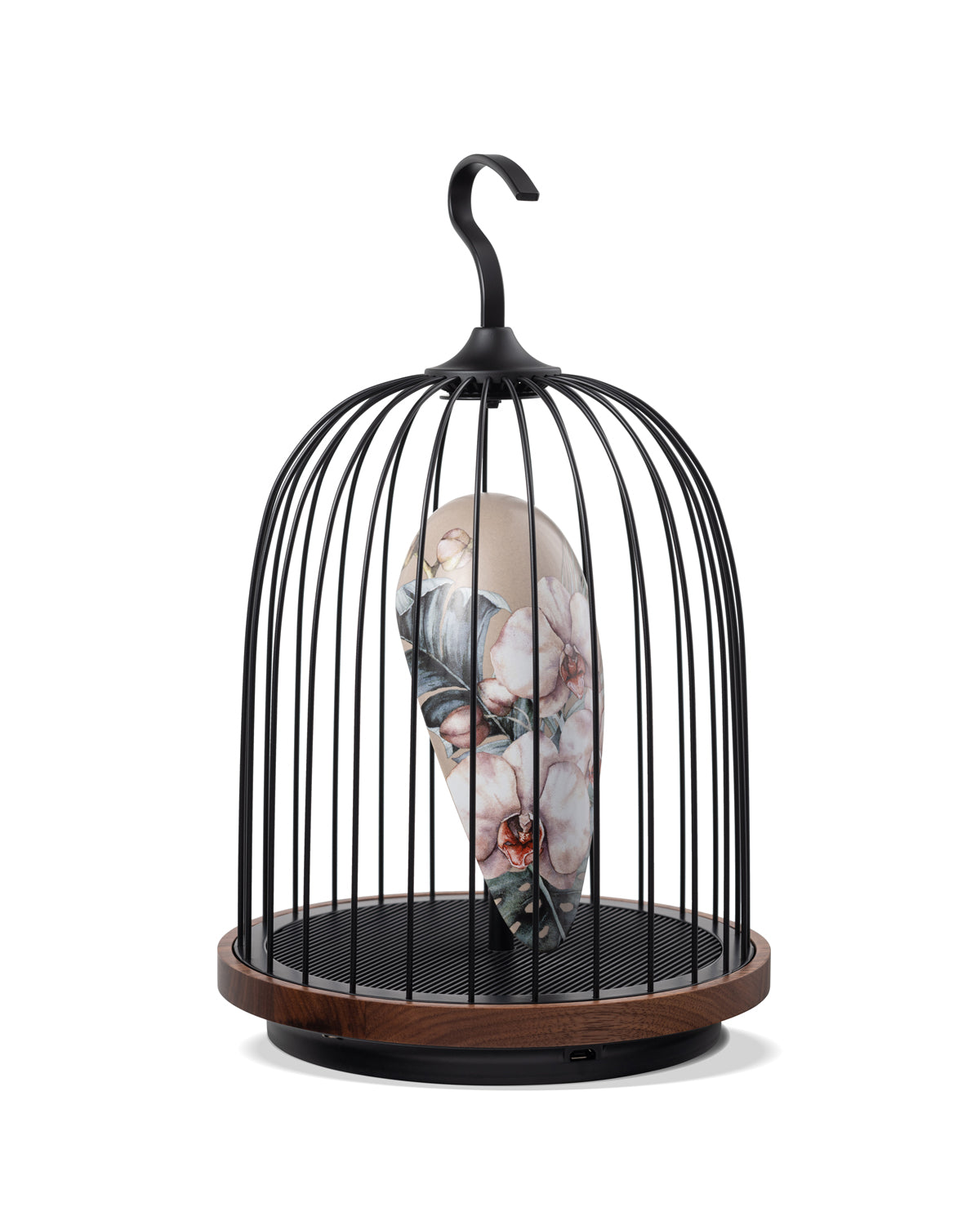 Daqi Bluetooth Speaker and Light pale pink porcelain bird with flower pattern black cage and walnut color speaker base