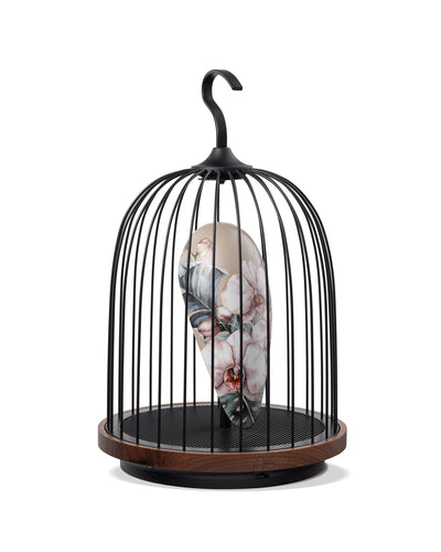 Daqi Bluetooth Speaker and Light pale pink porcelain bird with flower pattern black cage and walnut color speaker base