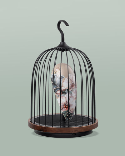 Daqi Bluetooth Speaker and Light pale pink porcelain bird with flower pattern black cage and walnut color speaker base