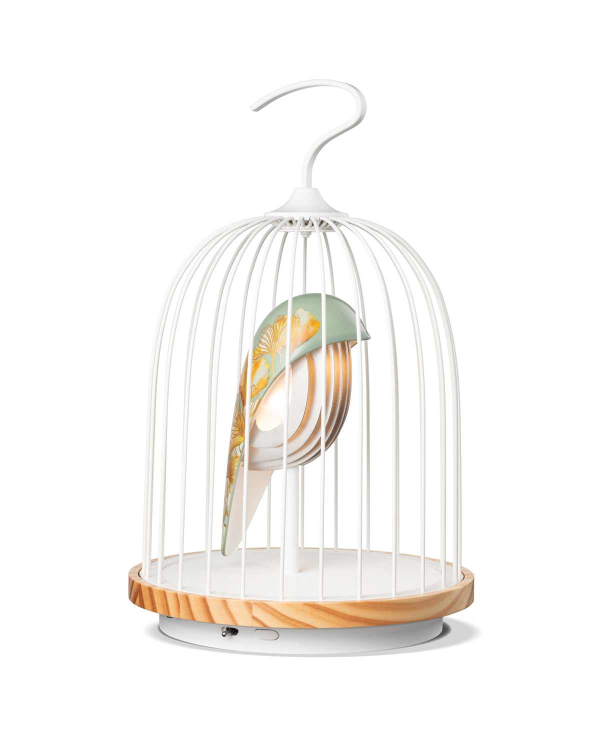 Daqi Bluetooth Speaker and Light pale green porcelain bird with flower pattern black cage and walnut color speaker base