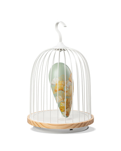 Daqi Bluetooth Speaker and Light pale green porcelain bird with flower pattern black cage and walnut color speaker base