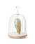 Daqi Bluetooth Speaker and Light pale green porcelain bird with flower pattern black cage and walnut color speaker base