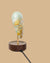 Daqi Alarm clock pale green porcelain bird with gold accents and walnut base wakes up with bird sound works with an app