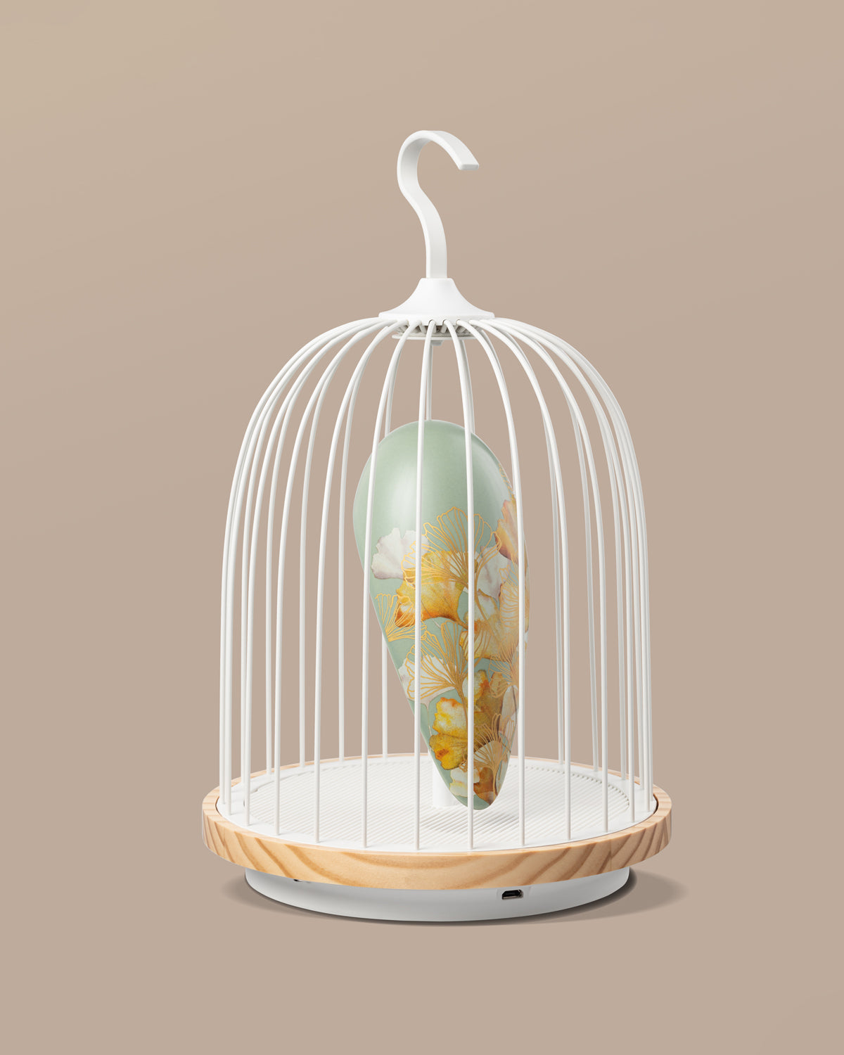 Daqi Bluetooth Speaker and Light pale green porcelain bird with flower pattern black cage and walnut color speaker base