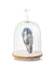 Daqi Bluetooth Speaker and Light Daqi Blue porcelain bird with flower pattern black cage and walnut color speaker base