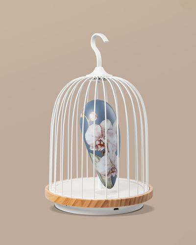 Daqi Bluetooth Speaker and Light Daqi Blue porcelain bird with flower pattern black cage and walnut color speaker base