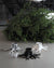 Christmas Tree Stand ROOT Black Matte