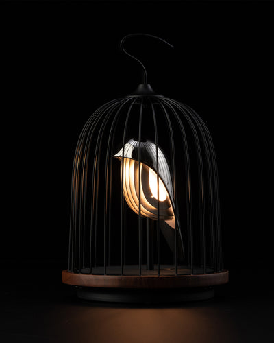 Daqi Bluetooth Speaker + Light JINGOO Silver Swan
