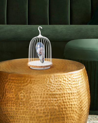 Daqi Bluetooth Speaker and Light Daqi Blue porcelain bird with flower pattern black cage and walnut color speaker base