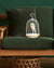 Daqi Bluetooth Speaker and Light pale green porcelain bird with flower pattern black cage and walnut color speaker base