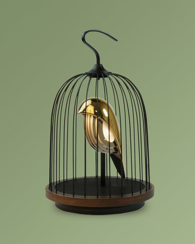 DAQICONCEPT Bluetooth Speaker + Light JINGOO THE PHOENIX
