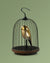 DAQICONCEPT Bluetooth Speaker + Light JINGOO THE PHOENIX