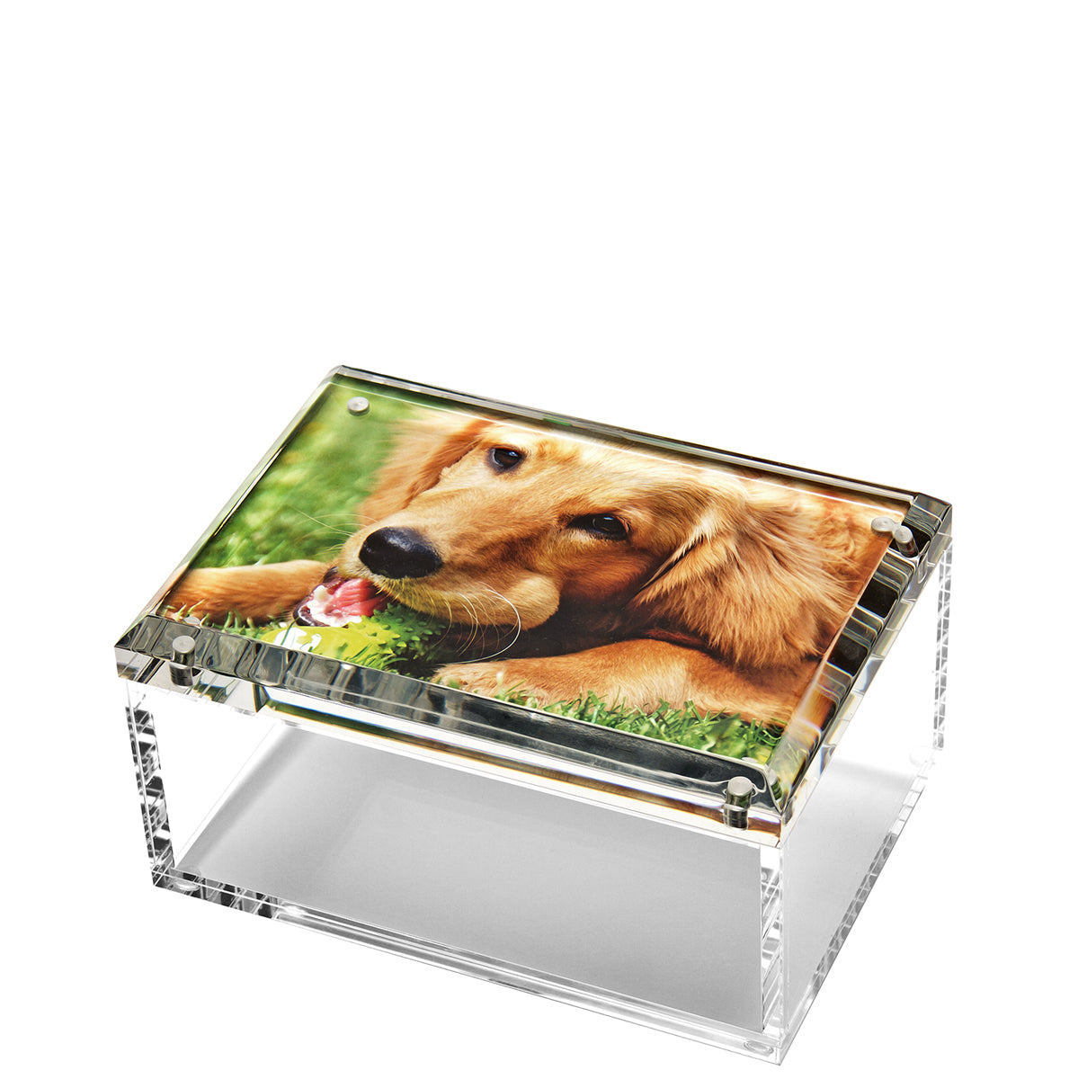 Tara Wilson Designs Box PHOTO BOX Clear 5" x 7" x 4"