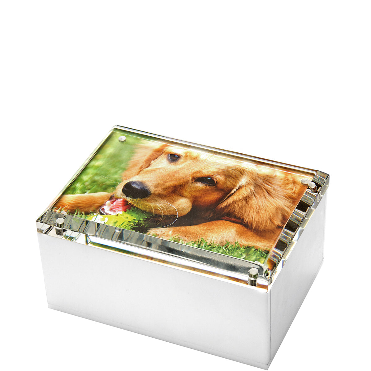 Tara Wilson Designs Box PHOTO BOX White 5" x 7" x 4"