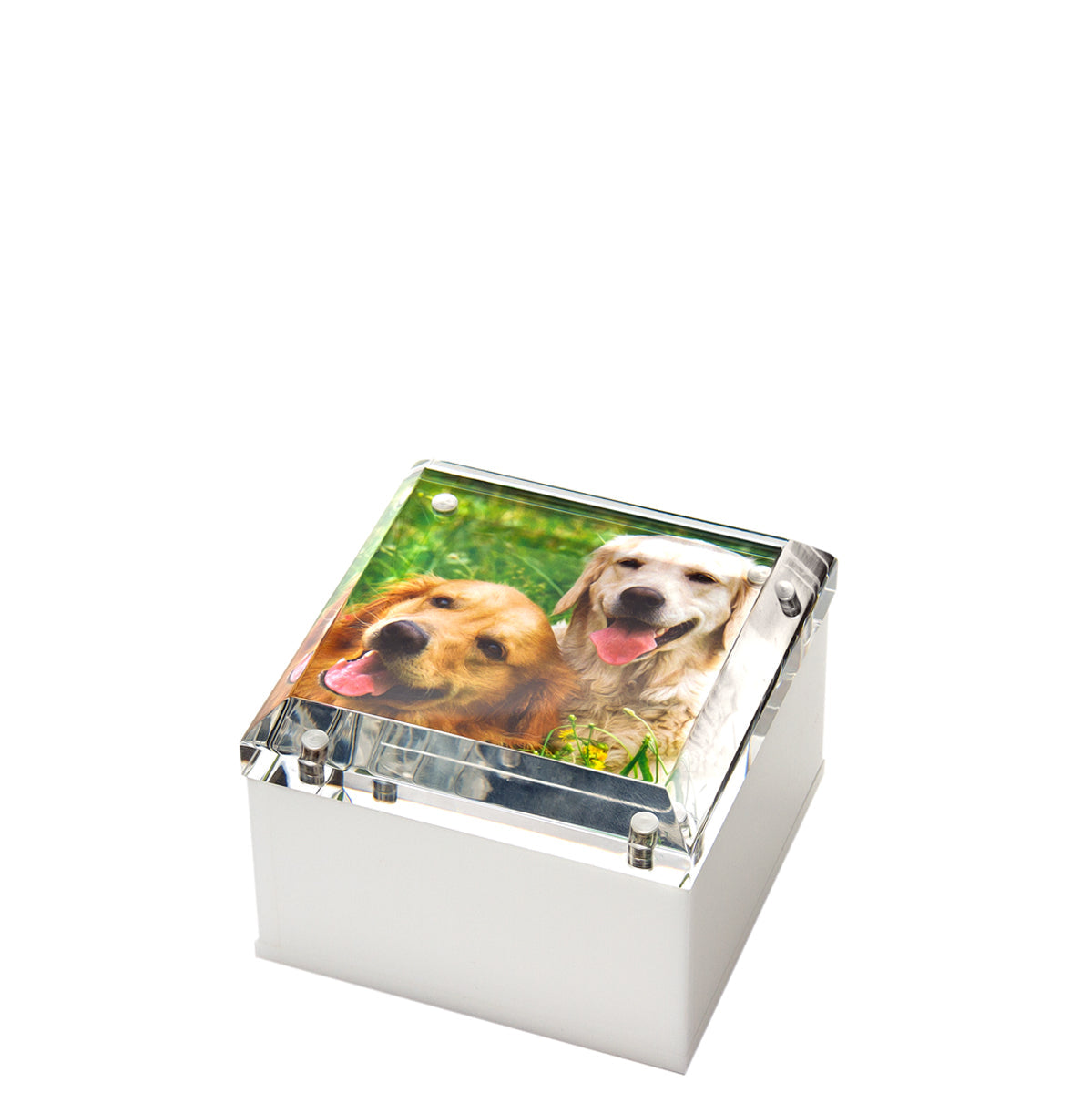 Tara Wilson Designs Box PHOTO BOX White 4" x 4" x 3"